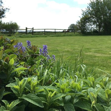 Cotswolds Mine Hill House Bed & Breakfast Lower Brailes Luaran gambar