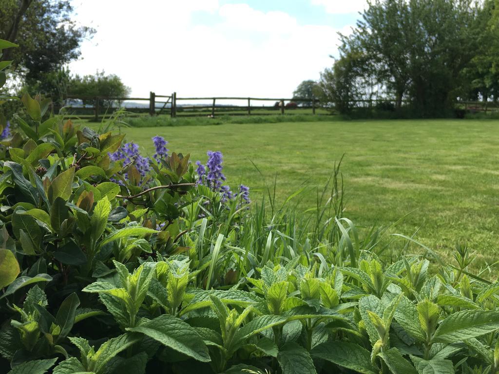 Cotswolds Mine Hill House Bed & Breakfast Lower Brailes Luaran gambar