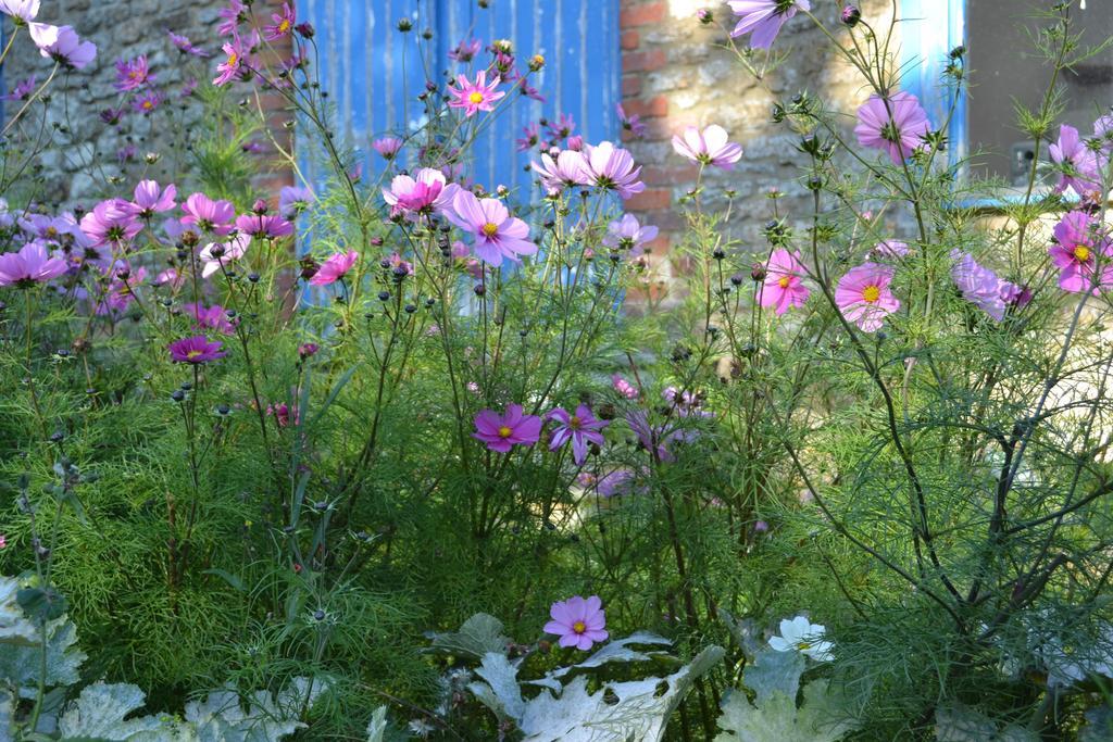 Cotswolds Mine Hill House Bed & Breakfast Lower Brailes Luaran gambar
